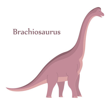 Big brachiosaurus with a long neck. Herbivorous dinosaur of the Jurassic period. Vector isolated cartoon illustration. White background