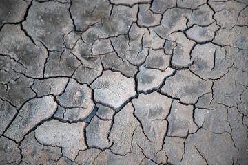 dry cracked earth