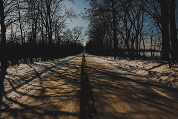 Afternoon shadows on winter road