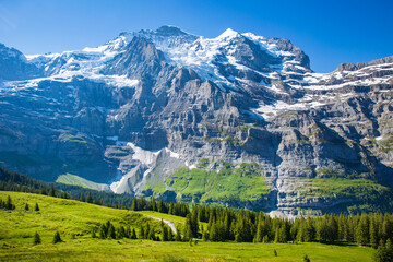 Fototapeta na wymiar The stunning view of the alps from the cogwheel train, heading towards Jungfraujoch