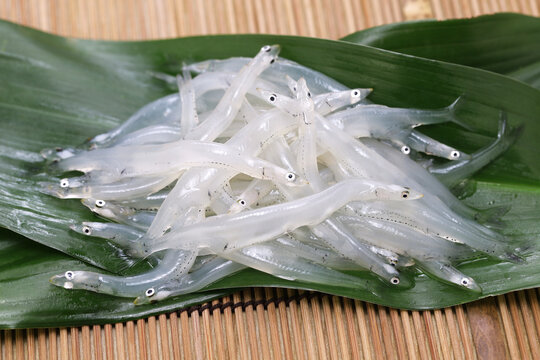 raw Shirauo (Japanese icefish)