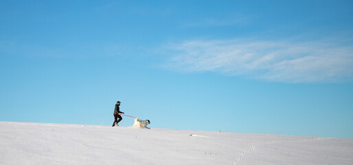 Fototapeta na wymiar man and his happy white dog enjoying winter snow outdoors on sunny day