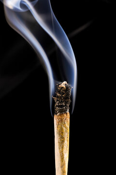 Cannabis Joint partially burnt