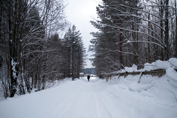 Village road in a snowy winter. Karelia, nord of Russia.
