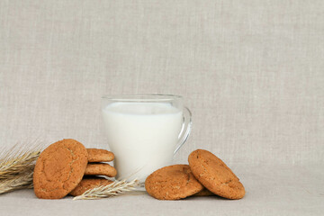 oatmeal cookies, ears of wheat with a glass of milk on a linen background, text space. 