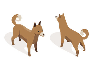 Farm animal isometric. Domestic animal in 3d flat back and front view. Cute game character of dog. Vector icon