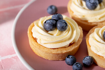 Cake tart with blueberries and whipped cream on a pink background close up