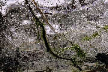 Winter ist bei Frost die Zeit gefrorene Kunstwerke der Natur zu entdecken und im Bild festzuhalten.  Eiskristalle, gefrorene Pfützen bis zu Raureif bieten fast unzählige, faszinierende Motive.