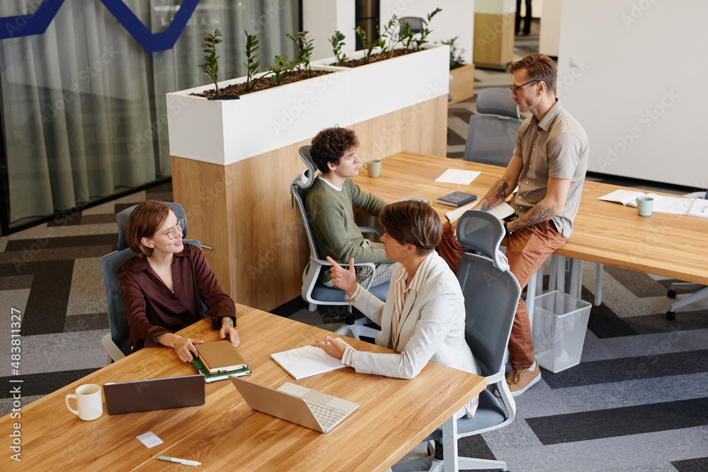 Wall mural high angle portrait of group of young people communicating while working together in modern office s