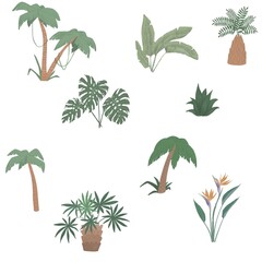Pattern of tropical paradise