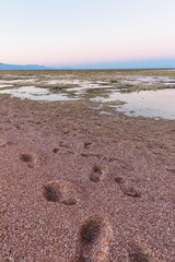 
Red Sea beach  at sunset near  Sharm El Sheikh, Egypt