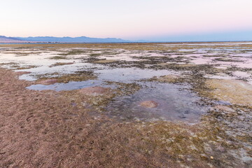 
Red Sea beach  at sunset near  Sharm El Sheikh, Egypt