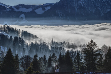 Obraz premium Nebelmeer mitten durch den Wald bei Goldiwil