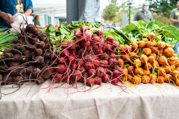 vegetables at the market