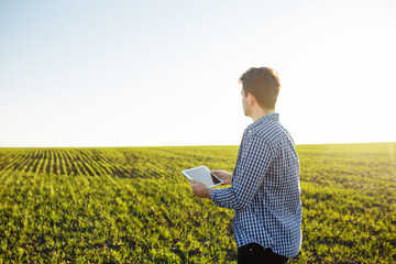 Young farmer inserts data of the new crop into tablet for future analysis. Agronomist checks the...