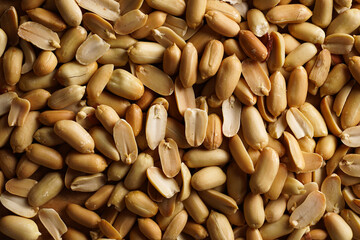 Peeled brown peanuts filling the frame, top view