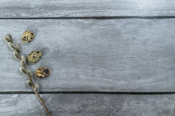 Easter background. A pussy willow branch and three quail eggs.