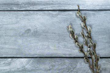 Easter background. Willow branches on the right against a light wood background.