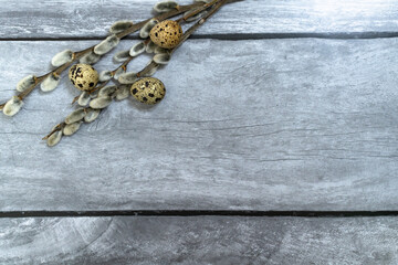 Easter background. Willow branches and three quails at the top against a light wood background.