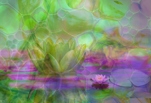 Layered Photo surrealistic art of dreamy soft focus  spring tone feminine floral, atmospheric nature, lily pads, water and smoky images for a unique background with space for copy