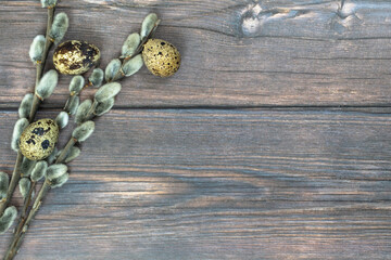 Easter background. Pussy willow and three quail eggs on the left against a dark wood background.