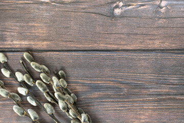Easter background. Willow branches in the lower corner on a dark wood background.