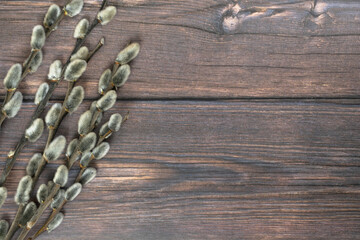 Easter background. Willow branches on the left against a dark wood background.