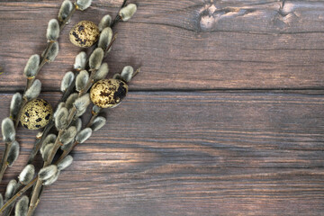 Easter background. Willow branches and three quail eggs on the left against a dark wood background.