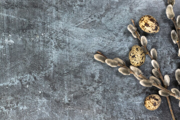 Easter background. Willow branches and quail eggs on the right against a dark background.