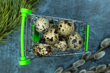 Easter background. Quail eggs in a cart on a dark background with pussy willow and pine.