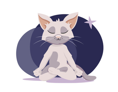 Cat in lotus position. Anthropomorphic animal in cartoon style