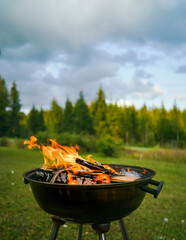Summer barbecue on the grill in Finland - obrazy, fototapety, plakaty