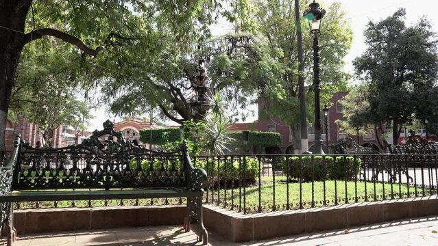 Park benches in the park
