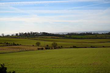 Fototapeta na wymiar Landscape with fields and blue sky