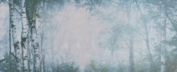 Panoramic Foggy Forest of Birch Trees in Autumn, grungy vintage FX	 - 483823536