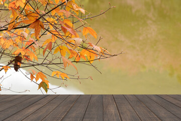 Naklejka na ściany i meble Empty wood floor with maple leaves background.