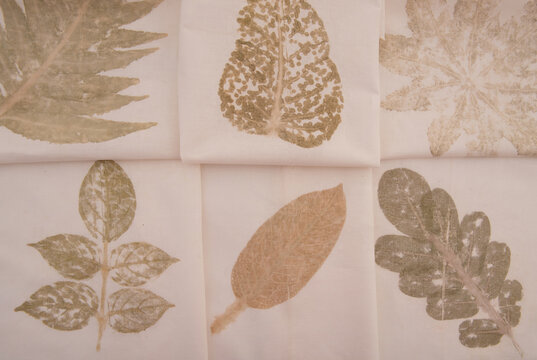 Ecoprint process on fabric using cotton.