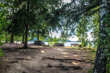 Shore view with bench