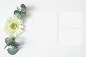 Wedding suite mockups with blank paper and eucalyptus leaves