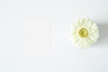 Mockup business card with gerbera leaves on the white background