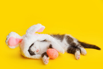 Fototapeta premium Little cute kitten sleeping Pretending to be Easter bunny. Cat pet wearing rabbit hat with pink bunny ears Hugs Easter pink egg while sleeping isolated on yellow color background. Happy Easter concept