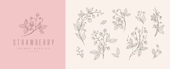 Strawberries floral branch flowers and logo set. Hand drawn line herb, elegant leaves for invitation save the date card. Botanical rustic trendy greenery