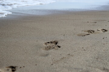 beach footprints