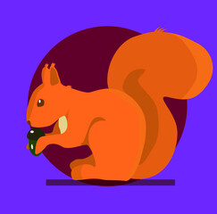 Red squirrel sits and eats a nut