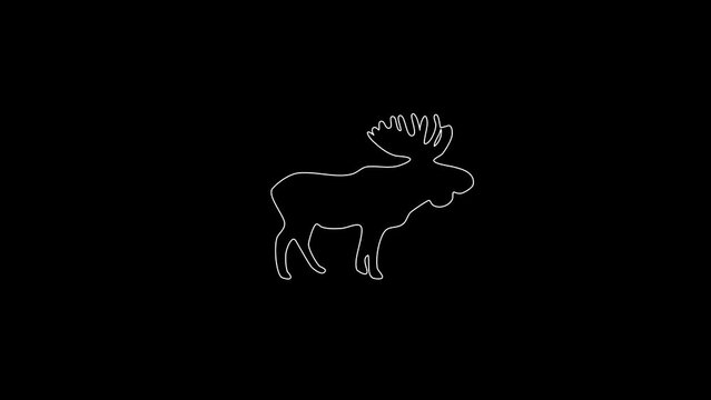 white linear elk silhouette. the picture appears and disappears on a black background.