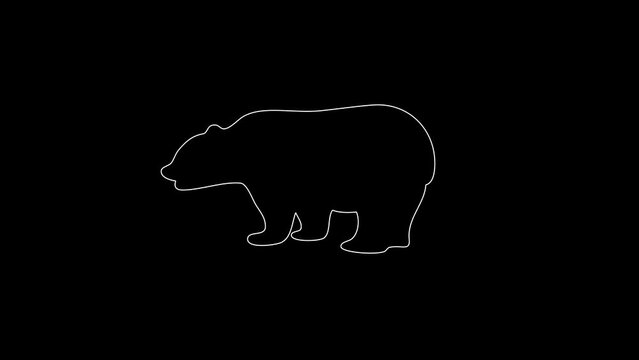 white linear bear silhouette. the picture appears and disappears on a black background.