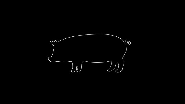 white linear pig silhouette. the picture appears and disappears on a black background.