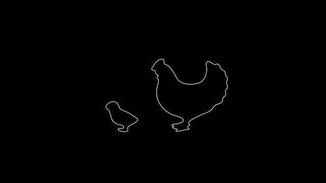 white linear chicken and chicken silhouette. the picture appears and disappears on a black background.