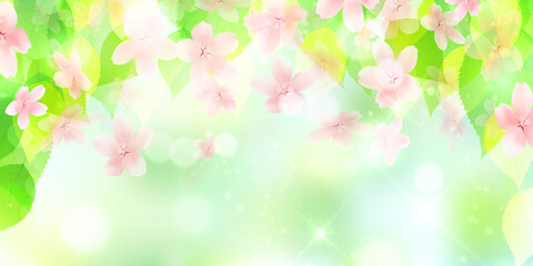 桜　春　新緑　背景
