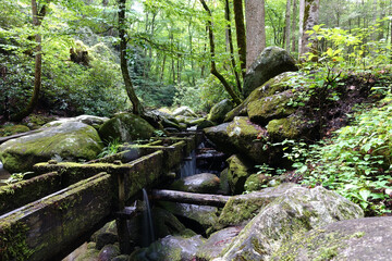 Historic Mill in Great Smoky Mountains National Park